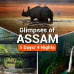Explore the Heart of Northeast India with Assam Tour Packages