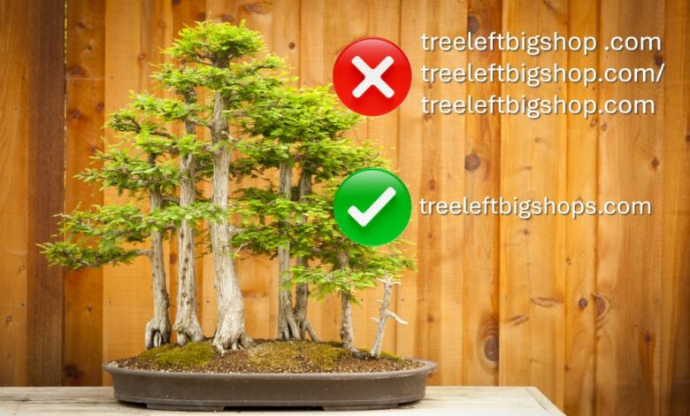 When the Tree Left: Big Shops Faced Nature’s Wrath
