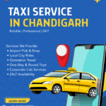 How to Explore Chandigarh Like a Local