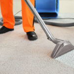 Hamilton Cleaning Experts for Carpets and Renovations