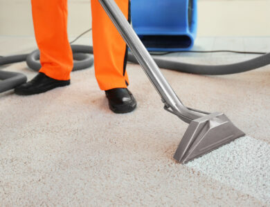 Hamilton Cleaning Experts for Carpets and Renovations