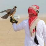 From Falconry to Festivals: Dubai’s Cultural Pride