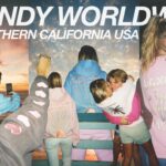 Dandy: The Ultimate Style and Comfort by Dandy Worldwide