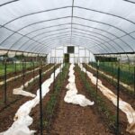 Best Hoop House Tunnel Plastic for Stronger Crop Protection