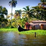Kerala Backwater Packages for a Memorable Vacation Experience