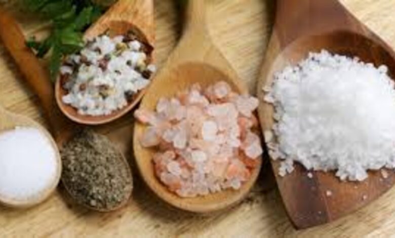 Salt Manufacturing Companies in India: From Gujarat’s Coast to Global Markets