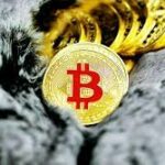Bitcoin 101: Understanding the Basics