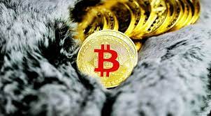 Bitcoin 101: Understanding the Basics