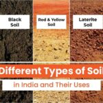 Discover the Soil Type and Its Formation