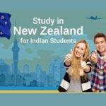 What Types of Visas Do New Zealand Visa Consultants Handle