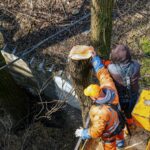 Tree Pruning Blackpool: Expert Tree Care & Maintenance Guide