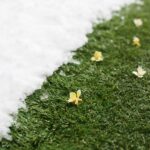 Why Fake Grass Is Booming in Melbourne: Trends and Tips
