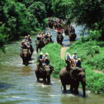 Explore Nature with Simlipal National Park Tour Package