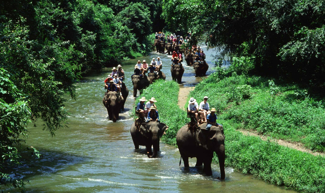 Explore Nature with Simlipal National Park Tour Package