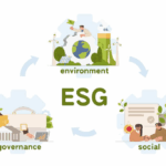 How Sustainability Consultants Drive Long-Term Value for Modern Enterprises