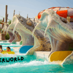 Dubai Water Park Experiences You Can’t Miss