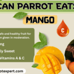 Parrots and Mango: A Complete Feeding Guide