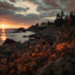 Find Affordable and Unforgettable Vacation Packages in Maine