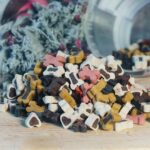 Buy Grain Free Dog Food – Healthy, Nutritious Meals Online