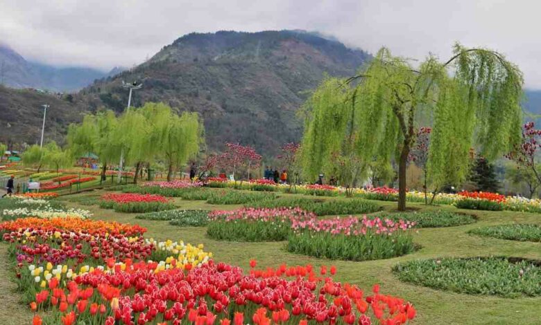 Explore the Best of Srinagar with Local Sightseeing Delights