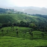 7 Days Private Kerala Tour from Kochi – Backwaters & Hills