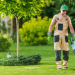 Choosing the Right Lawn Weed Control Service: Essential Factors for a Lush, Healthy Yard