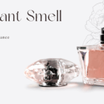 ABC Fragrances in UAE: An Olfactory Journey