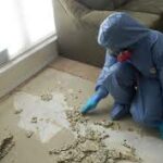 Mold Remediation: A Complete Guide to Safe and Effective Solutions