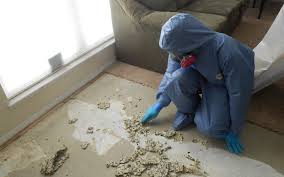 Mold Remediation: A Complete Guide to Safe and Effective Solutions
