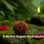 6 Mukhi Nepali Rudraksha: Properties, Healing And Powers