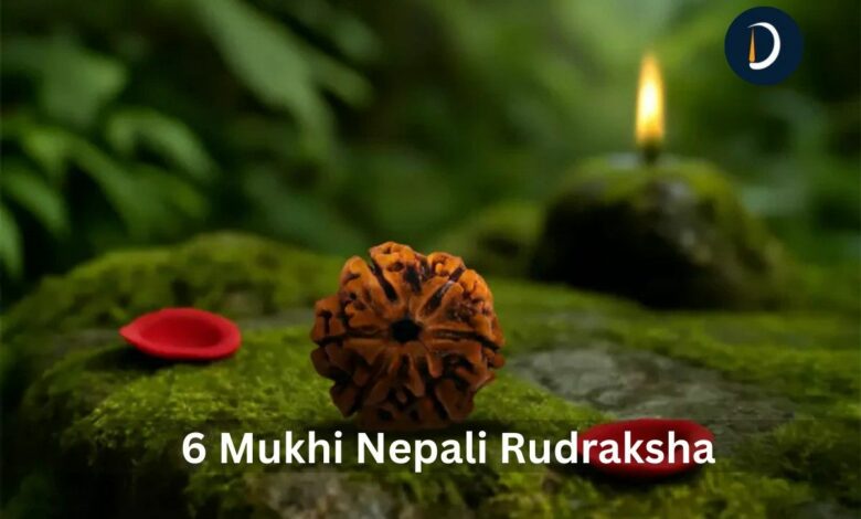 6 Mukhi Nepali Rudraksha: Properties, Healing And Powers