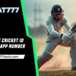 How to Get an Online Cricket ID WhatsApp Number