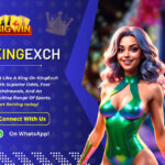 Bet Smarter on Skyexchange | Fast Skyexch Access & Skyexch Art Benefits