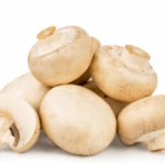 Mushroom Bag Grow Kit: A Simple Way to Cultivate Mushrooms with Booming Acres