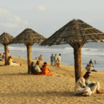 Explore Kerala with Affordable Kochi Tour Packages