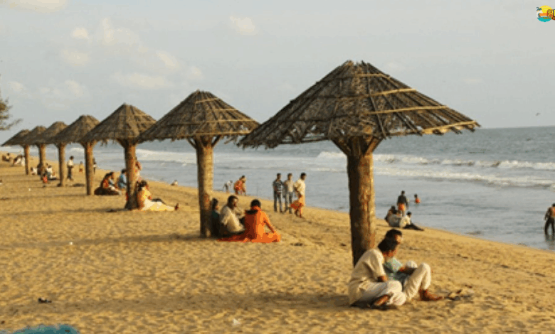 Explore Kerala with Affordable Kochi Tour Packages