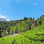 Explore Nature with Munnar and Thekkady Tour Package Today