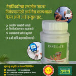 Unlocking Wellness: The Insulite Ayurvedic Approach