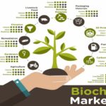 What Are the Primary Uses of Biochar in Agriculture?