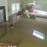 How Do You Choose the Best Commercial Flood Cleanup Company?