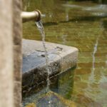 Why Invest in Professional Basement Waterproofing for a Safer Home?