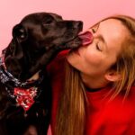 Why Do Dogs Lick You?