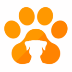 Collier anti aboiement automatique et humain une solution sûre et efficace pour les chiens qui aboient