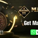 How to Connect with Mahadev Book via WhatsApp: Mahadev Book ID WhatsApp Number