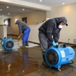 How Does Professional Water Damage Restoration Prevent Mold Growth and Structural Decay?
