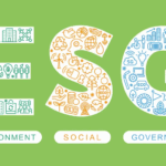 The Role of Sustainability Consultants in Achieving Net-Zero Goals