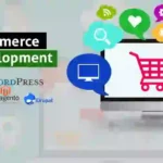 How Small Businesses Can Compete with Big E-Commerce Brands