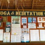 Your Ultimate Guide to the Best Yoga Retreats Bali Offers