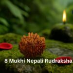 Original 8 Mukhi Nepali Rudraksha: Complete Guide
