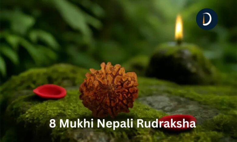 Original 8 Mukhi Nepali Rudraksha: Complete Guide